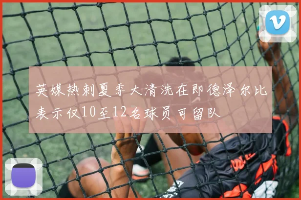 英媒热刺夏季大清洗在即德泽尔比表示仅10至12名球员可留队